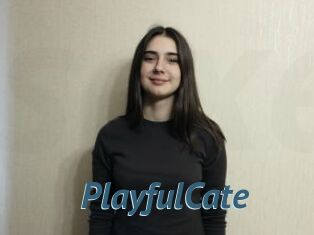 PlayfulCate