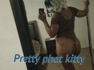 Pretty_phat_kitty