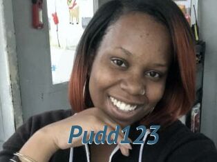 Pudd123