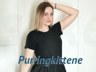 Purringkittene