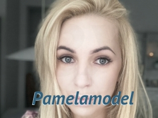 Pamelamodel