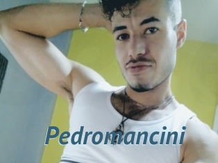 Pedromancini