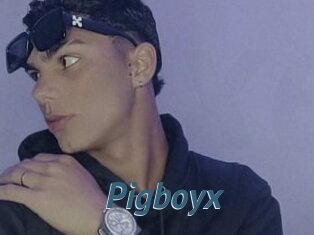 Pigboyx