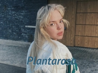 Plantarosa