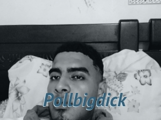 Pollbigdick