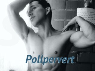 Pollpervert