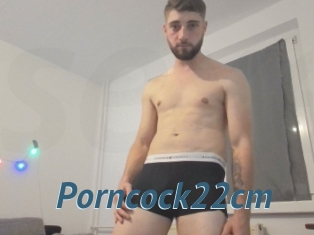 Porncock22cm