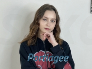 Portiagee