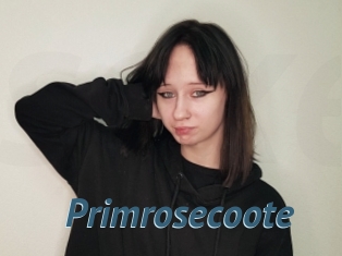 Primrosecoote