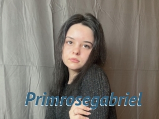 Primrosegabriel