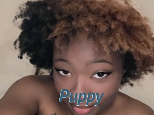 Puppy