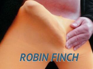 ROBIN_FINCH