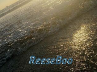 ReeseBoo