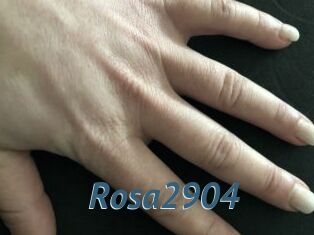 Rosa2904