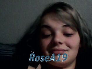 RoseA19