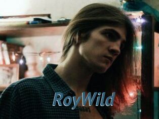 RoyWild