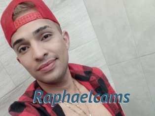 Raphaelcams