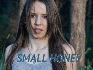 SMALL_HONEY