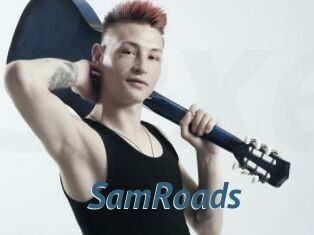 SamRoads