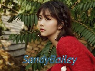 SandyBailey