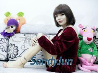 SandyJun