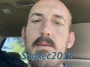 Snakec2018