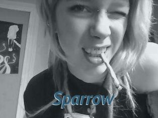 Sparrow