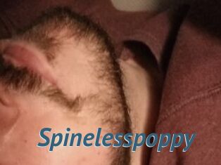 Spinelesspoppy