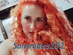 Sanyrobles202