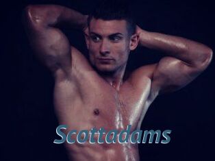 Scottadams