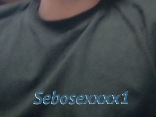 Sebosexxxx1