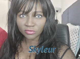 Skyleur