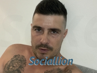 Sociallion