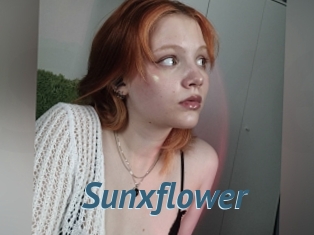 Sunxflower