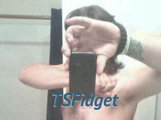 TSFidget