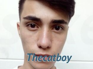 Thecatboy