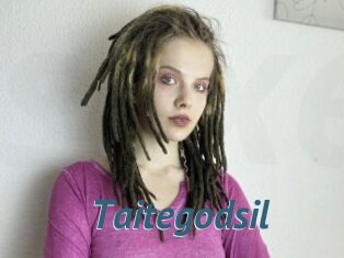 Taitegodsil