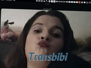 Transbibi