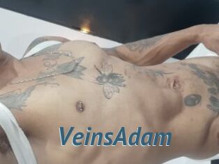 VeinsAdam