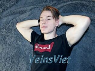 VeinsViet