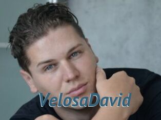 VelosaDavid