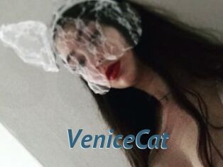 VeniceCat