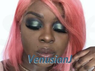 VenusianJ