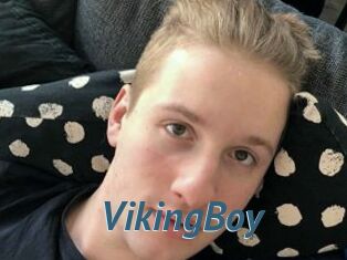 VikingBoy