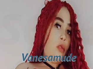 Vanesamude