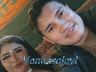 Vannesajavi