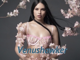 Venushawker