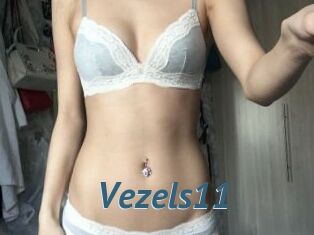 Vezels11