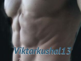 Viktarkushal13