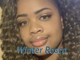 Winter_Rosea